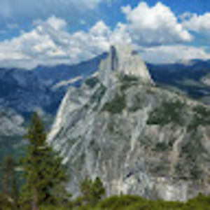 Meet your Posher, Shade